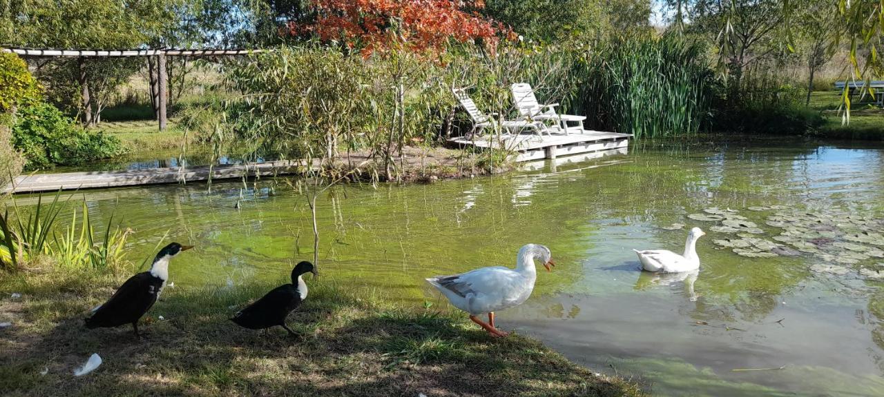 Bed and Breakfast El Tramway San Antonio de Areco Exterior foto