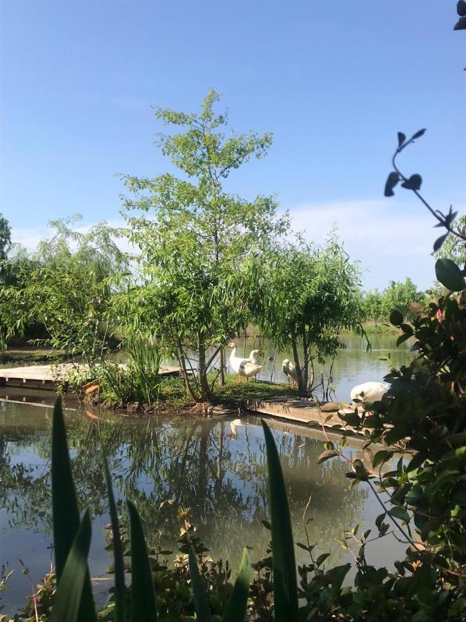 Bed and Breakfast El Tramway San Antonio de Areco Exterior foto